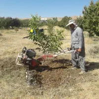 هرس تخصصی. چالکود.سمپاشی و امورات باغ