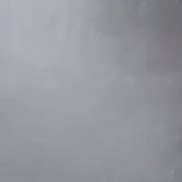 موکت پیدا شده