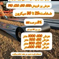 پلاستیک مالچ درختی و کشاورزی