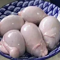دنبلان تازه