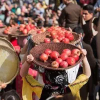 جشن شکرانه انار کردستان