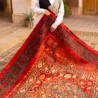 کلکسیون فرش های دستبافت گونه شهر فرش پاسارگاد|فرش|شیراز, فرگاز|دیوار