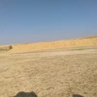 کاه دیم