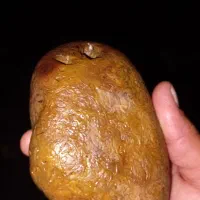 سنگ باستانی  شبیه مغز انسان کنده کاری شده ق