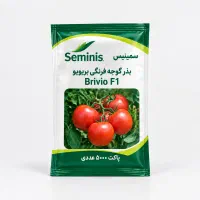 بذر گوجه فرنگی