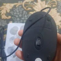 موس|قطعات و لوازم جانبی رایانه|تایباد, |دیوار