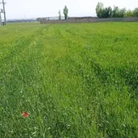 زمین ۶ هزار متری