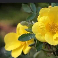 بیا عکستو ادیت کن