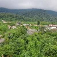 اجاره آپارتمان نوساز ویو جنگل