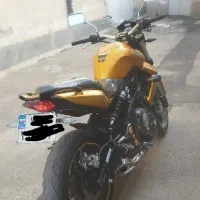 بنلی۳۰۰گلد