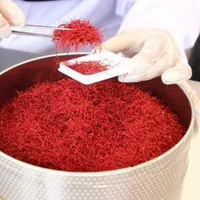 تولید وپخش عمده انواع زعفران خراسان(فله،بسته بندی)|عمدهفروشی|قم, پردیسان|دیوار