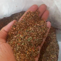 کنجد
