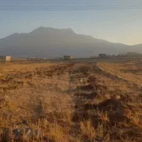 زمین با مجوزه گلخانه|فروش دفتر صنعتی، کشاورزی، تجاری|اراک, |دیوار