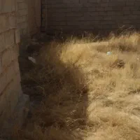زمین با اسکلت|فروش زمین و ملک کلنگی|شیراز, شهرک کوشکک|دیوار