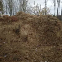 کاه گندم و مخلوط علف و یونجه|لوازم جانبی حیوانات|سلماس, |دیوار