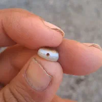 مهره قدیمی|کلکسیون اشیاء عتیقه|داراب, |دیوار