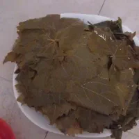 سبزی قرمه|خوردنی و آشامیدنی|کرج, آتشگاه|دیوار