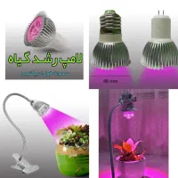 چراغ لامپ رشد گیاه