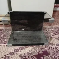 آکواریوم شیشه خم|ماهی|قرچک, مهدیه|دیوار