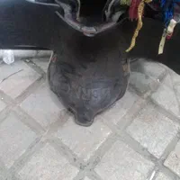 زین چرم طرح برنو|اسب و تجهیزات اسبسواری|کرمانشاه, |دیوار