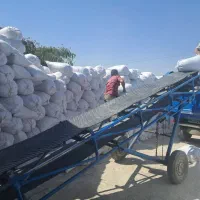 سیمان،اجر،ماسه نیسانی.شن.پوکه صنعتی گچ صالح سمنان|مصالح و تجهیزات ساختمان|مشهد, ولیعصر (شهرک غرب)|دیوار