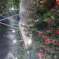 باغ فوق العاده خاص پلاک اول جاده فرودگاه|فروش خانه و ویلا|اصفهان, قهجاورستان|دیوار