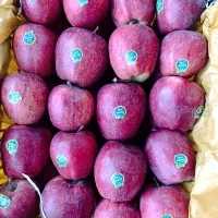 فروش سیب درجه یک