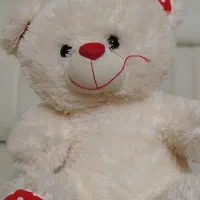 عروسک|اسباببازی بچه|شیراز, ارم|دیوار