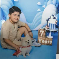 سگ پامرانین روباهی سایز ریز|سگ|چهاردانگه (تهران), |دیوار