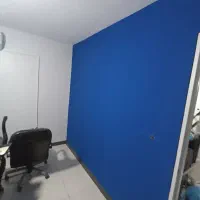 نقاش ساختمان|خدمات پیشه و مهارت|صفادشت, |دیوار