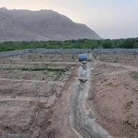 زمین باغ پسته حدودا ۱۳۵۰متر با برق و آب کشاورزی|فروش زمین و ملک کلنگی|بافق, |دیوار
