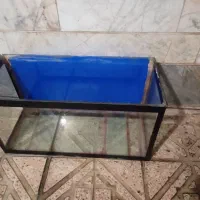 آکواریوم|ماهی|تهران, اسفندیاری|دیوار