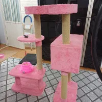 جای خواب گربه|لوازم جانبی حیوانات|بوشهر, |دیوار