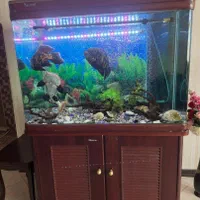 آکواریوم با ماهی و لوازم|ماهی|پردیس, فاز ۴|دیوار