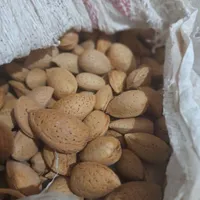 کشمش بادام|خوردنی و آشامیدنی|مشهد, بهمن|دیوار