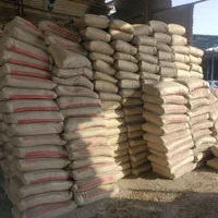 مصالح ساختمانی سیمان کرمان  تیپ ۲به قیمت کارخانه