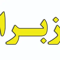 نصب و تعمیرات زبرا|صنایع دستی و سایر لوازم تزئینی|اهواز, آریاشهر|دیوار