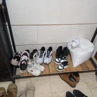 فروش رگال نونو