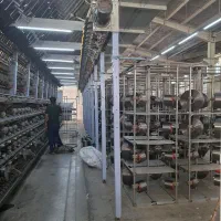 استخدام نیرو جهت شرکت ریسندگی سیمین الیاف مهریز