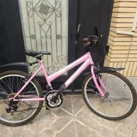 دوچرخه