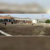 آموزش سوارکاری از مبتدی تا پیشرفته