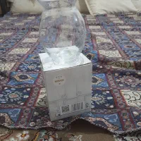 تنگ ماهی