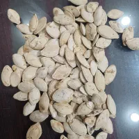 تخمه خام سفید