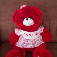 عروسک|اسباب‌بازی بچه|مرودشت, ابوذر جنوبی|دیوار