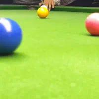 جویای کار (    )