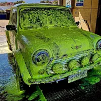 استخدام کارواش