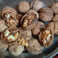 گردو کشمش شیره انگور آذربایجان