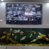 نصب دوربین مداربسته و دزدگیر|دوربین مداربسته|فلاورجان, |دیوار