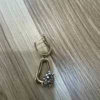 لنگه گوشواره عکس فوق گم شده