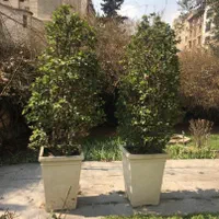 مشارکت، ۱۲۰۰ متر زمین، متل قو (سلمان شهر) دریاگوشه